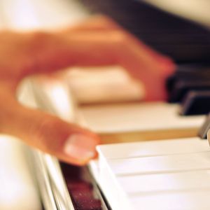 成人手机视频在线观看
