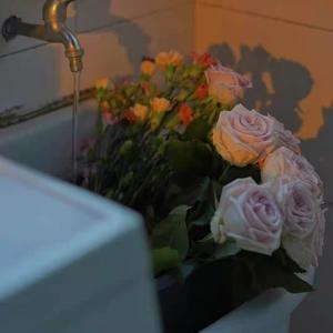 成人手机视频在线观看
